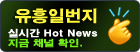 유흥일번지